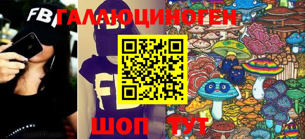 Переславль-Залесский  Галлюциногенные грибы Psilocybe  Вход с VPN 